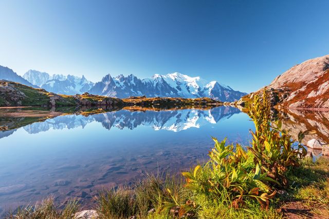 Tour du Mont Blanc 2026 with Four Season Guides | Alps Trek